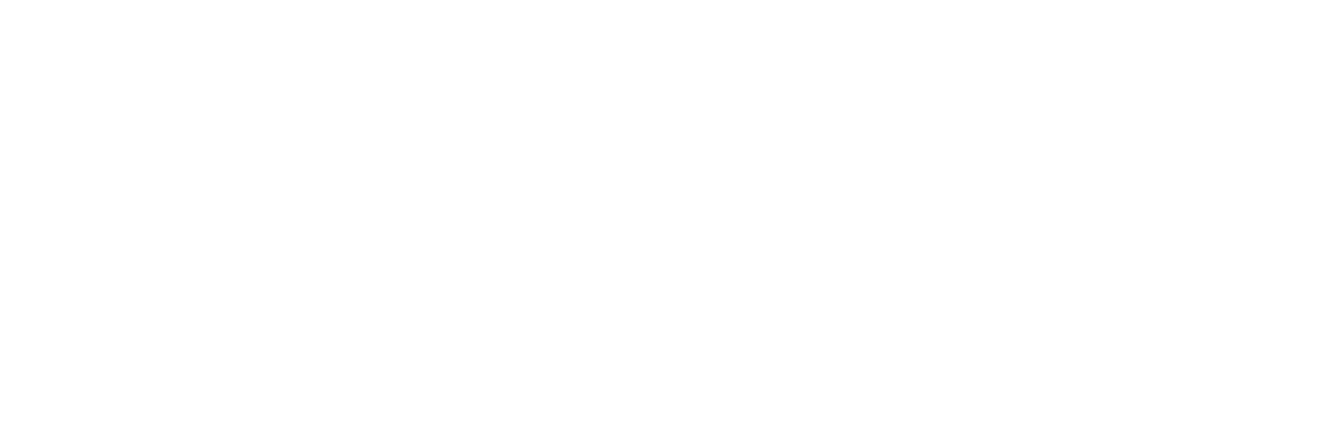 Rawy AI